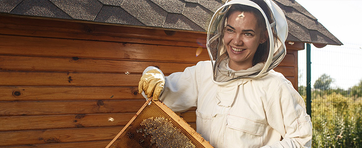 beekeeping